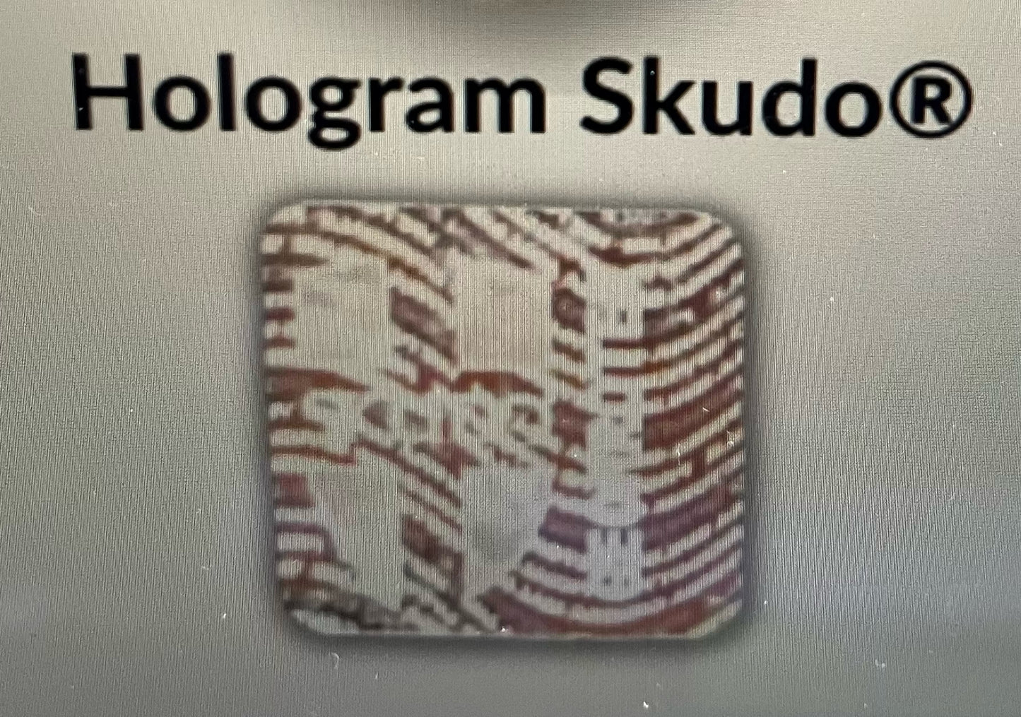 Skudo Hologram