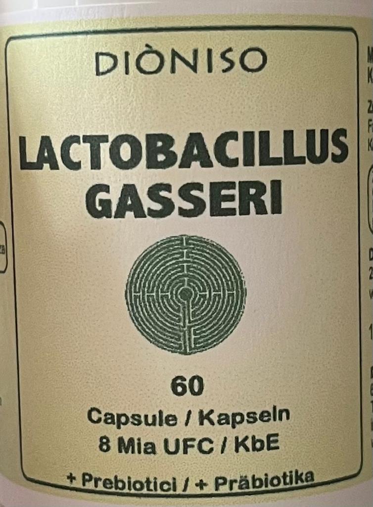 Lactobacillus gasseri