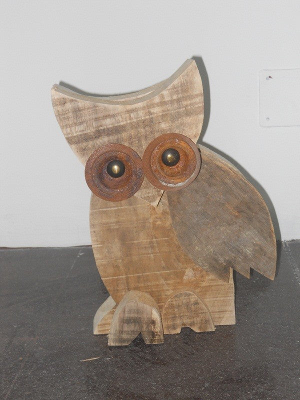 Little Owl - XL