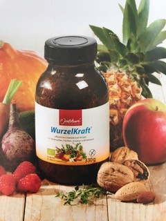 WurzelKraft Alcavita Bio Jentschura 330 gr