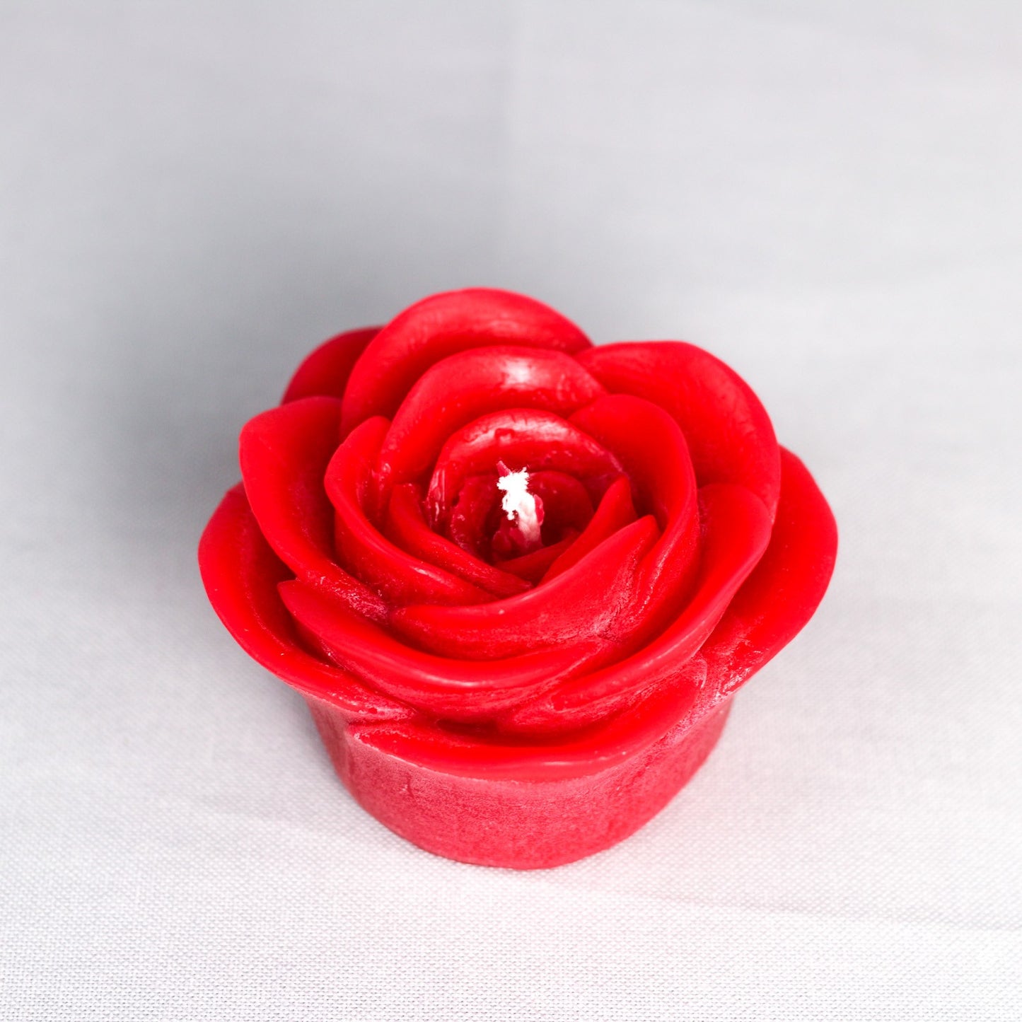 Red rose 